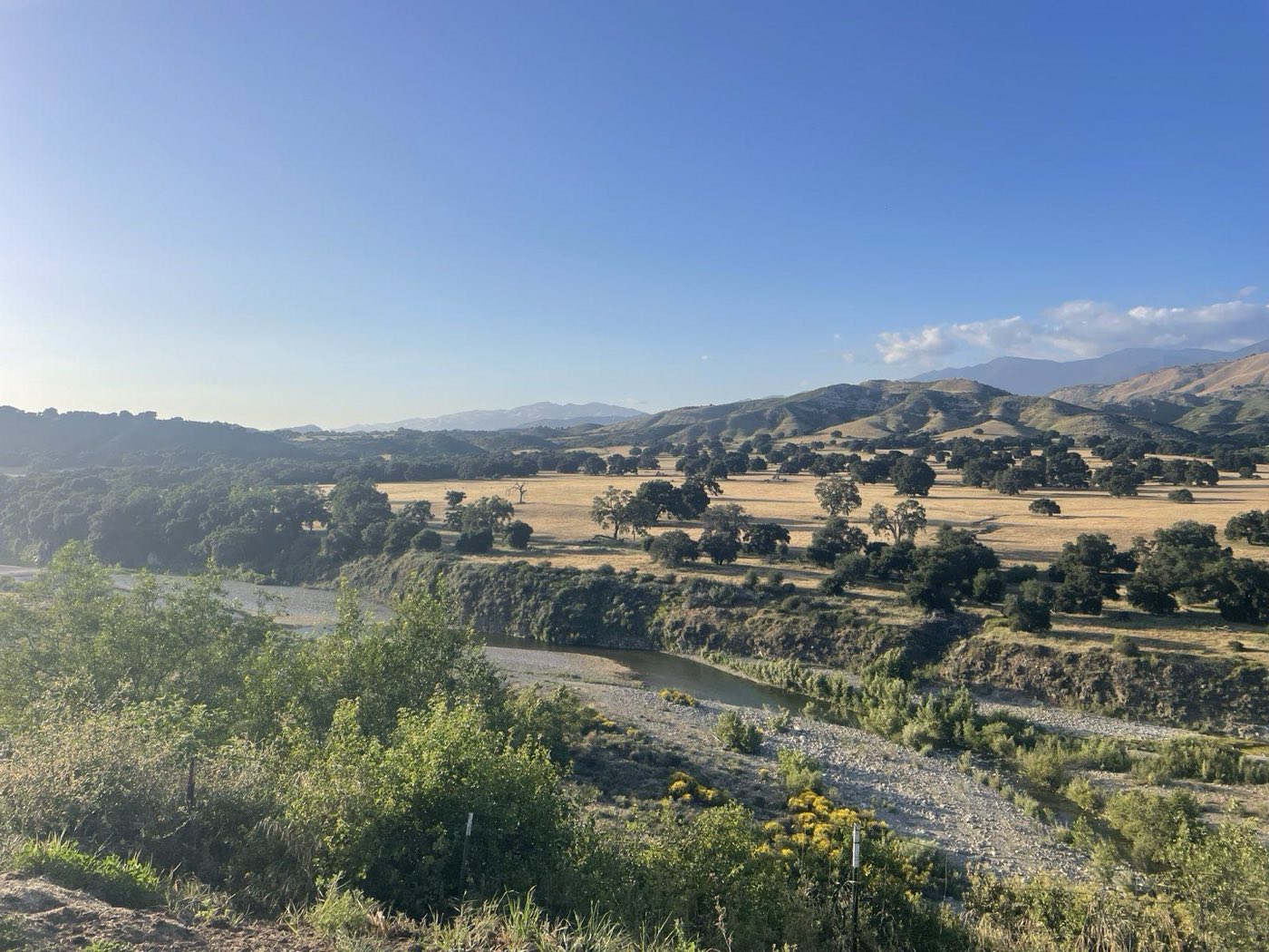 Golden valley grassland in early light